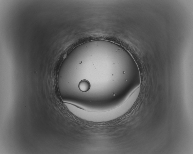 X0000112411157200909041350