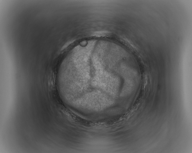 X0000112411158200909041350