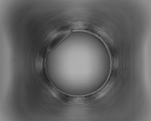 X0000112411161200909041350