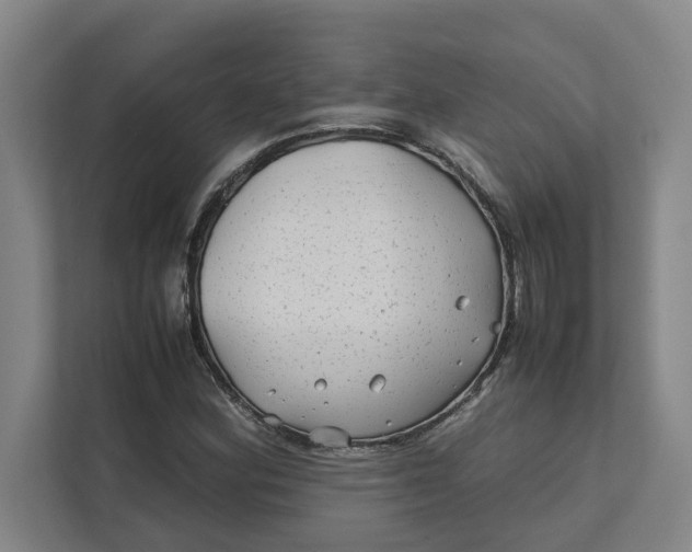 X0000112411164200909041350