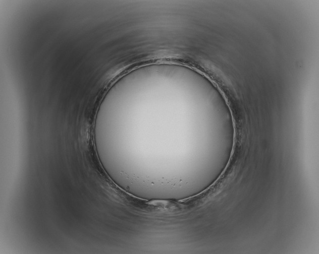 X0000112411169200909041350