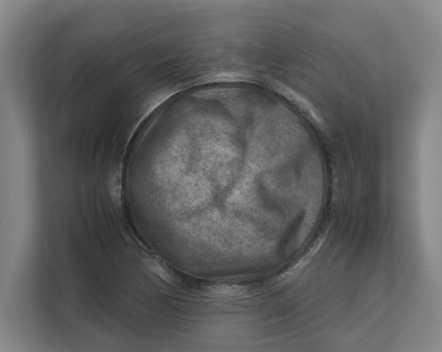 X0000112411170200909041350