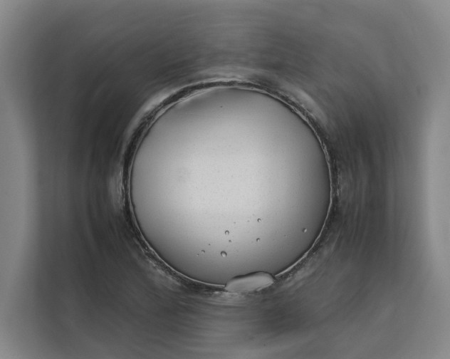 X0000112411172200909041350