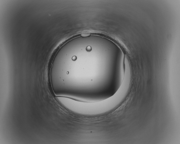 X0000112411173200909041350