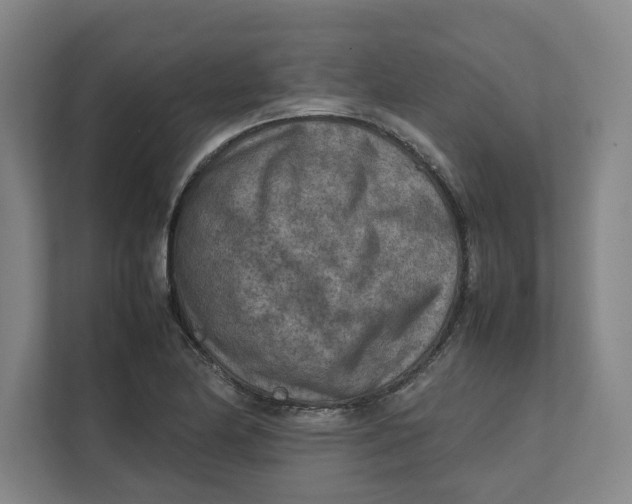 X0000112411174200909041350