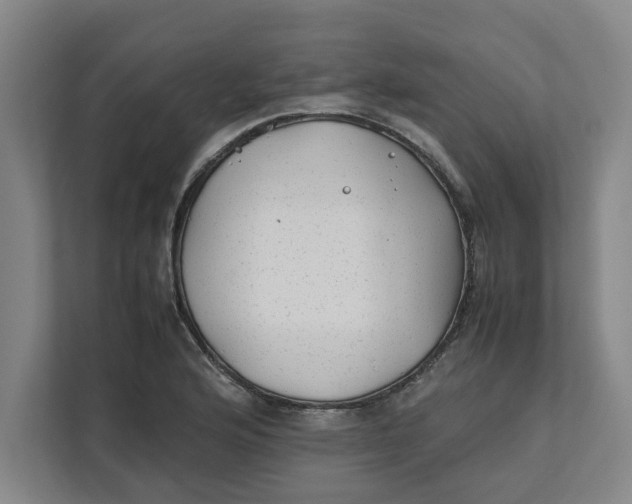 X0000112411176200909041350