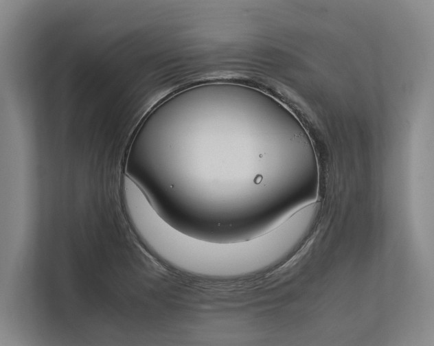 X0000112411177200909041350