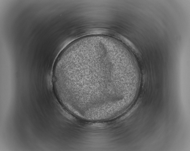 X0000112411178200909041350