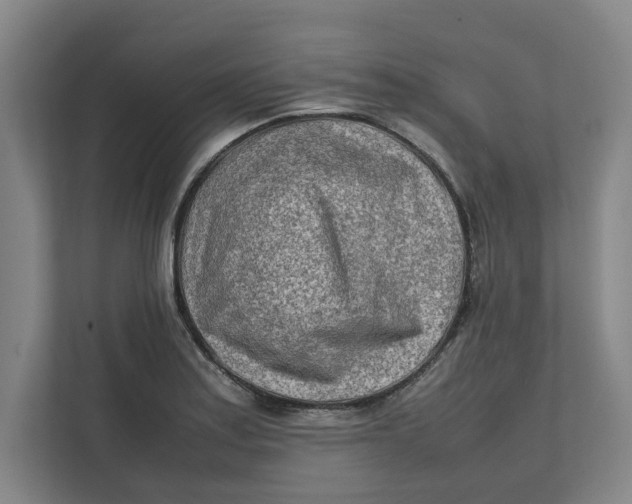 X0000112411179200909041350