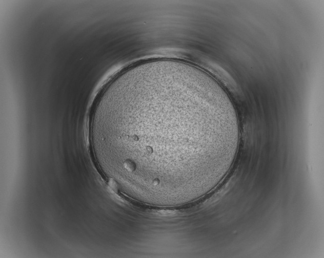 X0000112411180200909041350