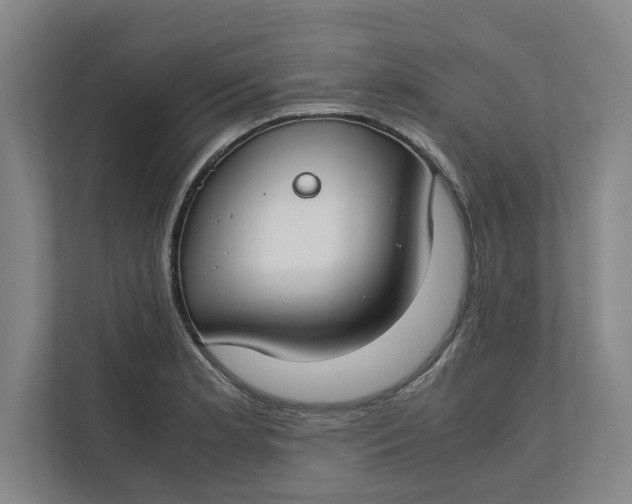 X0000112411181200909041350