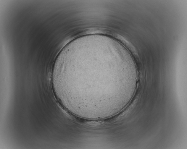 X0000112411185200909041350