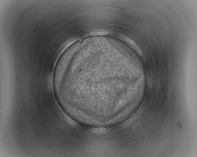 X0000112411186200909041350