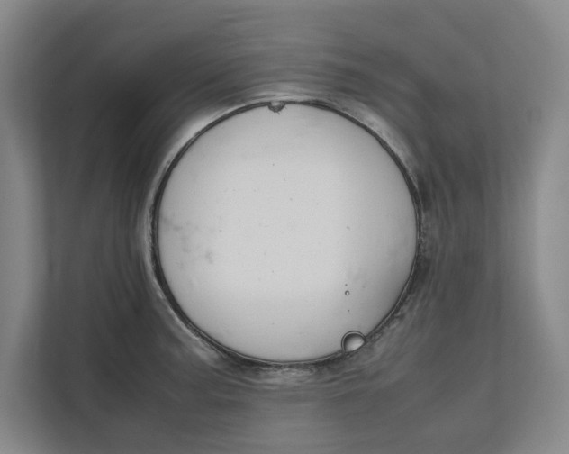 X0000112411187200909041350