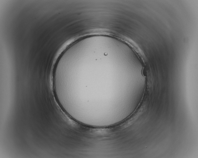 X0000112411188200909041350