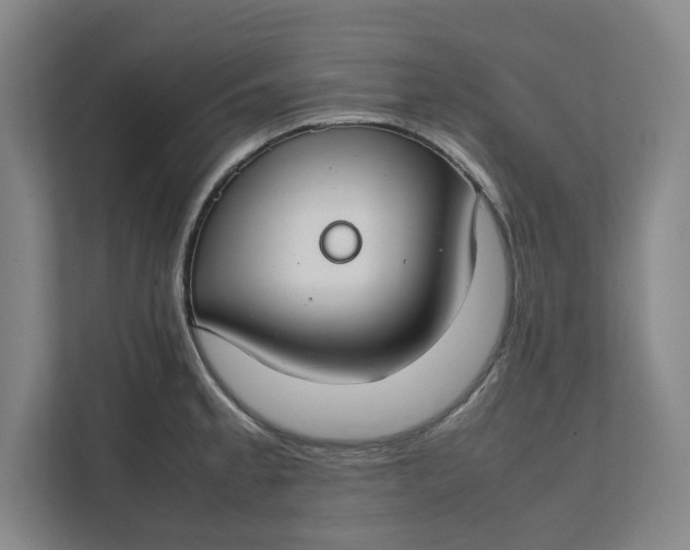 X0000112411189200909041350