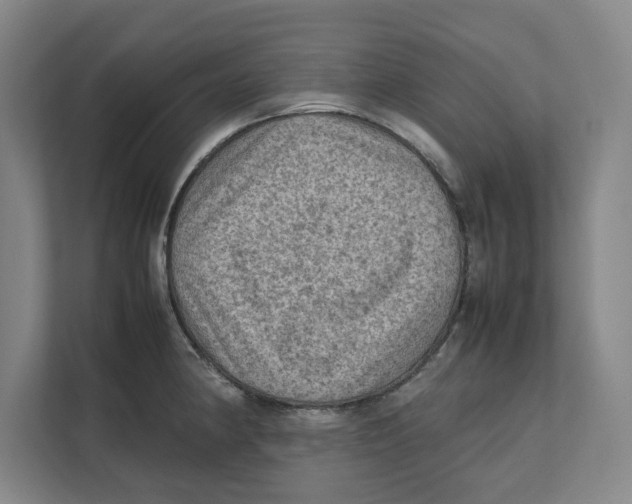 X0000112411190200909041350