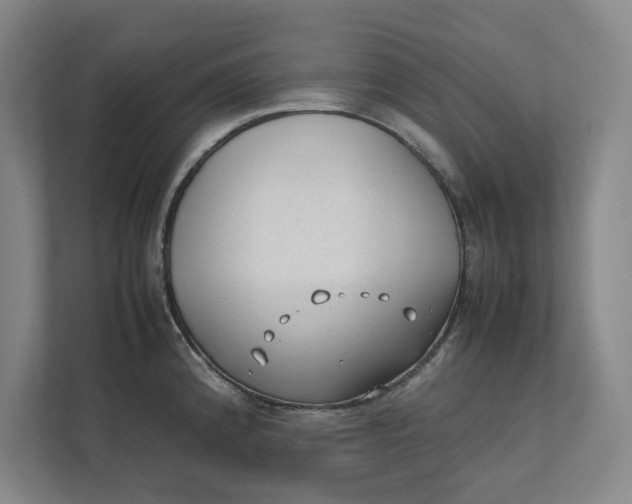 X0000112411192200909041350