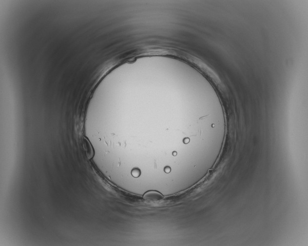 X0000112411193200909041350