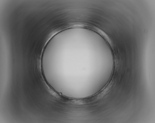 X0000112411194200909041350