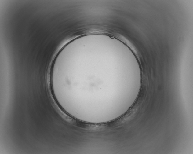 X0000112411195200909041350