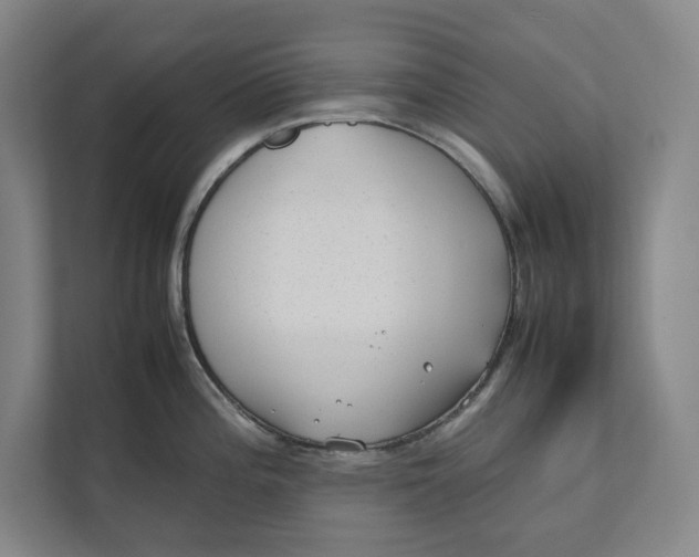 X0000112411196200909041350