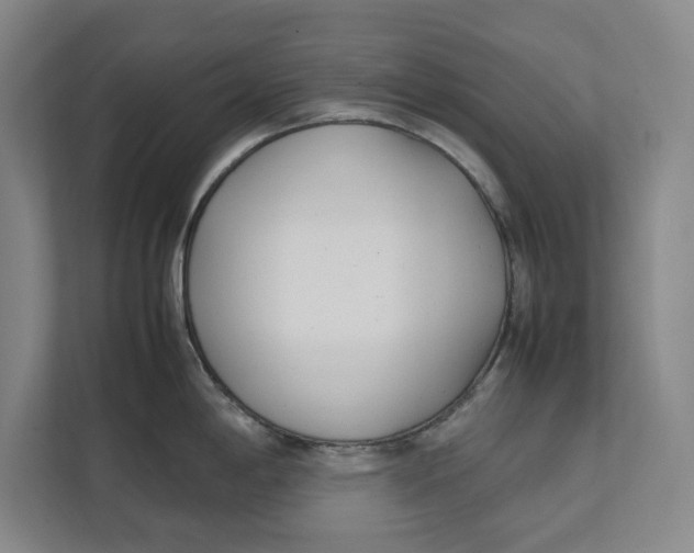 X0000112411198200909041350