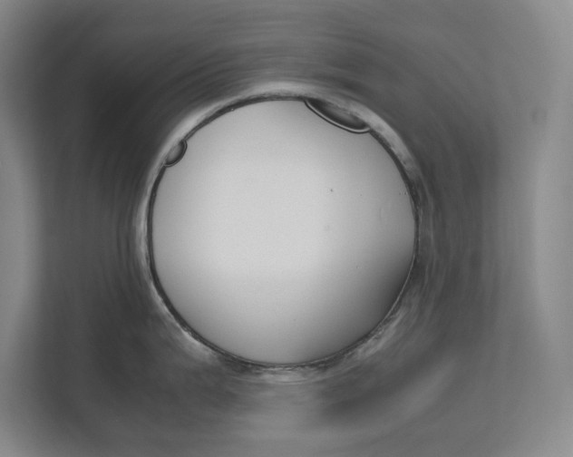 X0000112411199200909041350