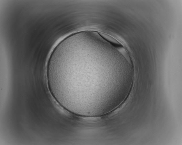 X0000112411200200909041350