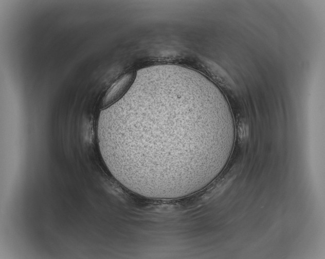 X0000112411204200909041349