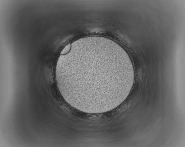 X0000112411205200909041349