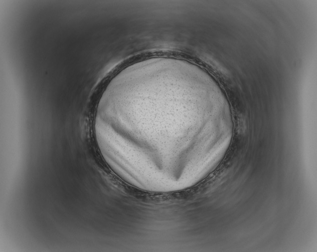 X0000112411208200909041349