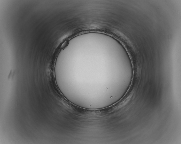 X0000112411210200909041349