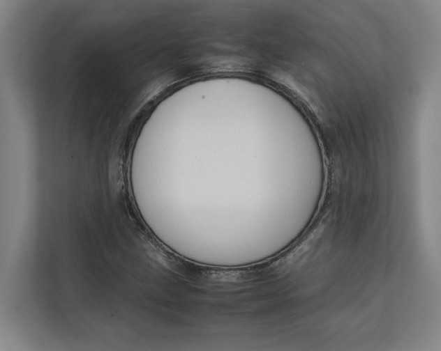 X0000112411211200909041349