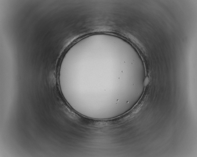 X0000112411212200909041349