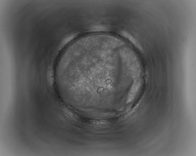 X0000112411213200909041349