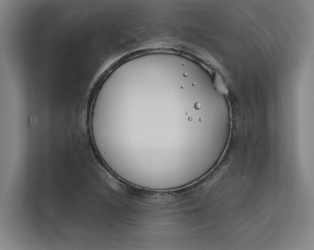 X0000112411216200909041349