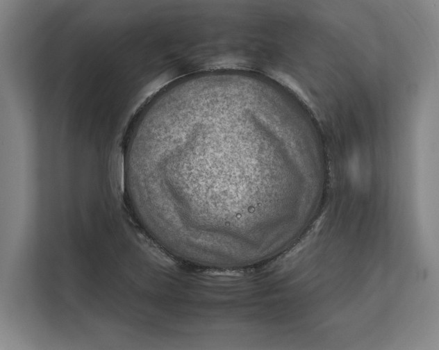 X0000112411219200909041349