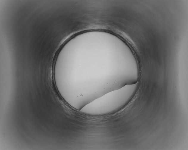 X0000112411220200909041349