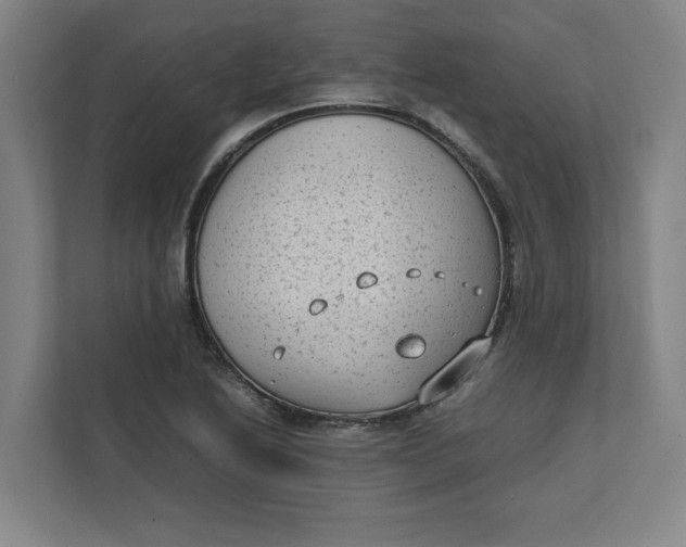 X0000112411222200909041349