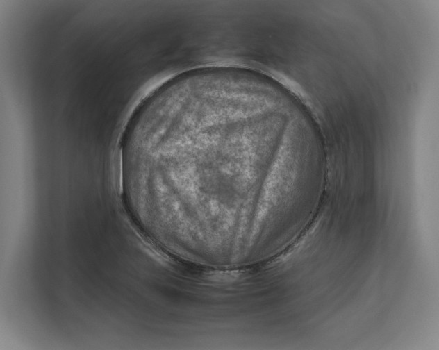 X0000112411223200909041349