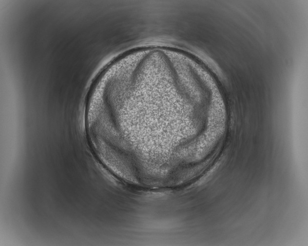 X0000112411224200909041349