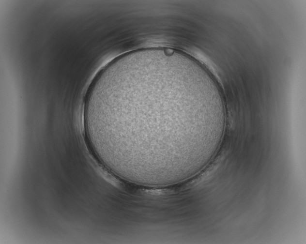 X0000112411227200909041350