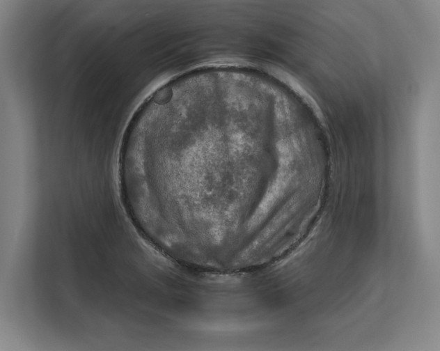 X0000112411229200909041350