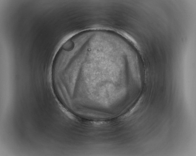 X0000112411231200909041350