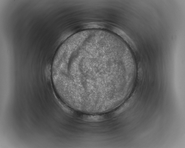 X0000112411233200909041350