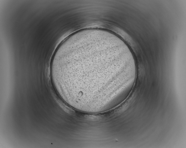 X0000112411234200909041350