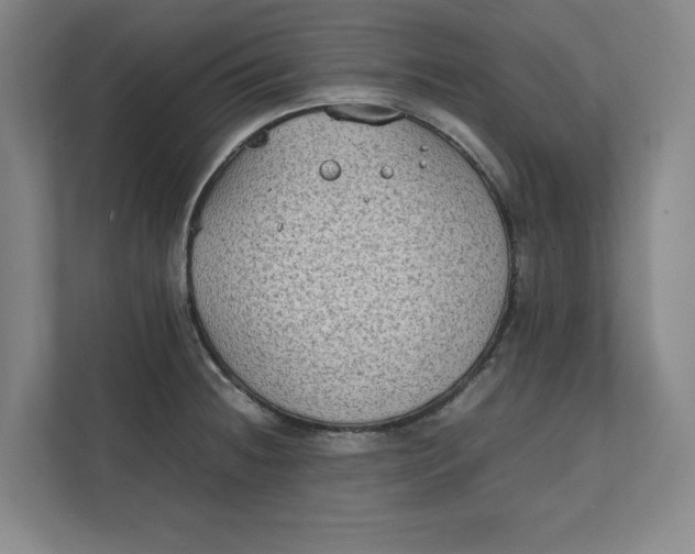 X0000112411236200909041350