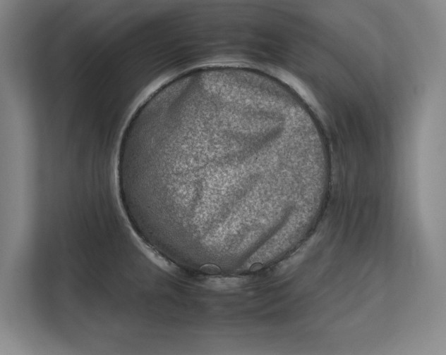 X0000112411237200909041350