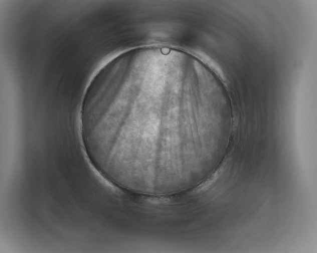 X0000112411239200909041350